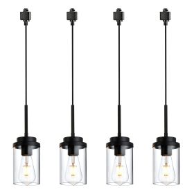 4 Pack H-Type Track Lighting Pendants Black Ceiling Track Hanging Light Fixtures with Clear Glass Shades, Compatible with H Type Track Lighting Rail