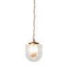 Delphi Pendant Lamp - Coarse Gold and Clear Glass