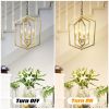 4-Light Farmhouse Kitchen Chandeliers, Vintage Cage Light Fixture Adjustable Height Chandeliers for Dining Room Hallway Foyer Entryway(E12 Bulbs Not