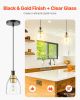 VEVOR 1-Light Pendant Light, 2 Pack, Kitchen Island Lights with Clear Glass Shade & Hanging Cord, Black and Gold Finish, Adjustable Height, Pendant L