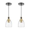VEVOR 1-Light Pendant Light, 2 Pack, Kitchen Island Lights with Clear Glass Shade & Hanging Cord, Black and Gold Finish, Adjustable Height, Pendant L