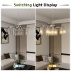 9-Light Brushed Nickel Glass Chandelier, Adjustable Height Hanging Industrial Dining Room Chandelier Over Table