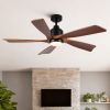 52 in. Black Lowe Profile Ceiling Fan with Light