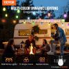 VEVOR RGB Outdoor String Lights, 50FT, Outside Patio Lights with APP Control 15 Bulbs, 15 Single-Color Adjustable Brightness Time Setting, Waterproof