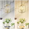 4-Light Farmhouse Kitchen Chandeliers, Vintage Cage Light Fixture Adjustable Height Chandeliers for Dining Room Hallway Foyer Entryway(E12 Bulbs Not