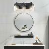 3 Light Bathroom Vanity Light, Matte Black Bathroom Light Fixtures with Clear Glass Shade, Vanity Light Fixtures Over Mirror for Bedroom Living Room(