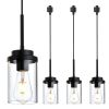 4 Pack H-Type Track Lighting Pendants Black Ceiling Track Hanging Light Fixtures with Clear Glass Shades, Compatible with H Type Track Lighting Rail