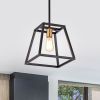1 Light pendant light