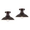1 Light ceiling fixture