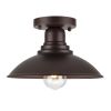 1 Light ceiling fixture