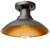 1 Light ceiling fixture