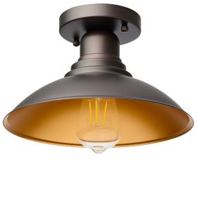 1 Light ceiling fixture (Color: ORB w/Gold, Pack: 1 Pack)