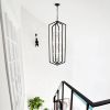 12-Light Farmhouse Kitchen Chandeliers, Matte Black and Sliver Vintage Rustic Cage Light Fixture Adjustable Height Chandeliers for Dining Room Hallwa